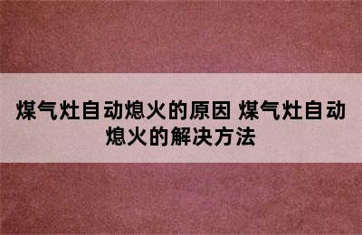 煤气灶自动熄火的原因 煤气灶自动熄火的解决方法